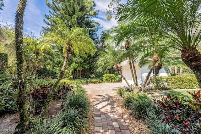 view of yard with a garage