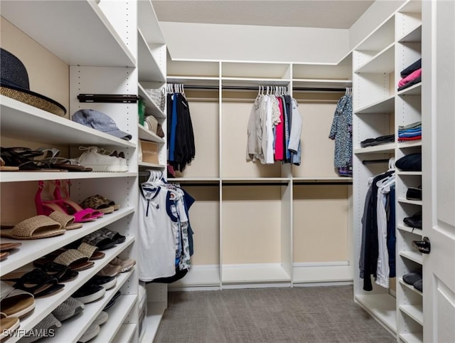 view of spacious closet