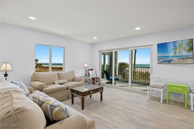 living room with light hardwood / wood-style floors and a wealth of natural light