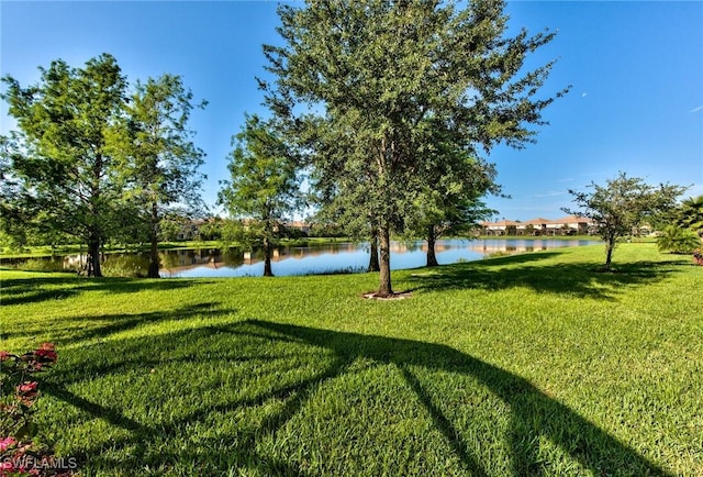 view of yard with a water view