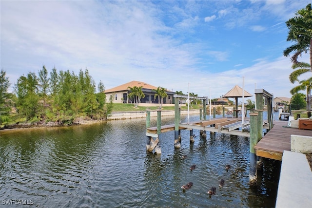 dock area with a water view