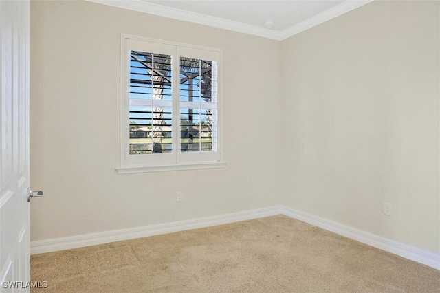 carpeted empty room with ornamental molding and a wealth of natural light