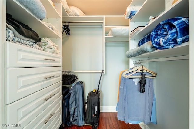 spacious closet featuring dark hardwood / wood-style flooring