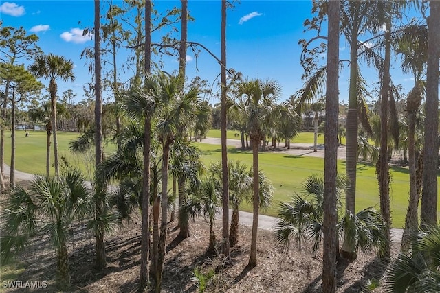 view of home's community with a lawn