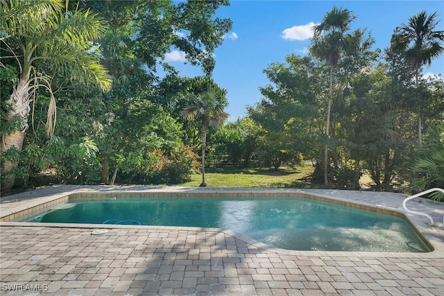 view of pool featuring a patio