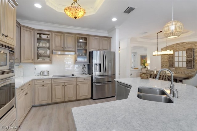 kitchen featuring hanging light fixtures, stainless steel appliances, a raised ceiling, tasteful backsplash, and sink