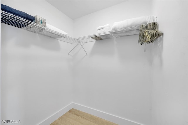 spacious closet featuring hardwood / wood-style flooring