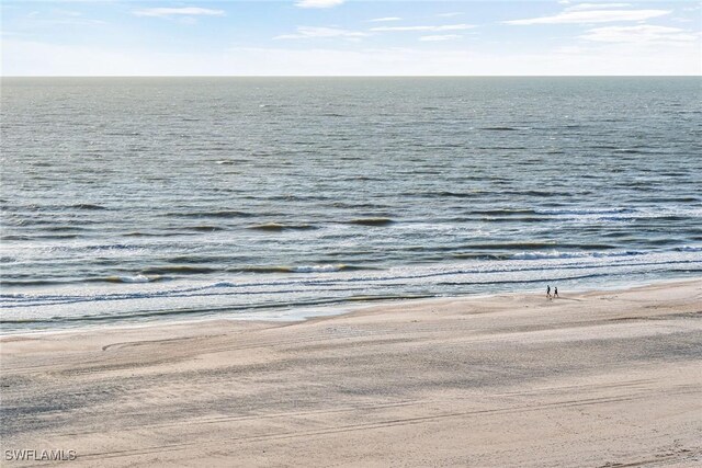 view of water feature featuring a beach view