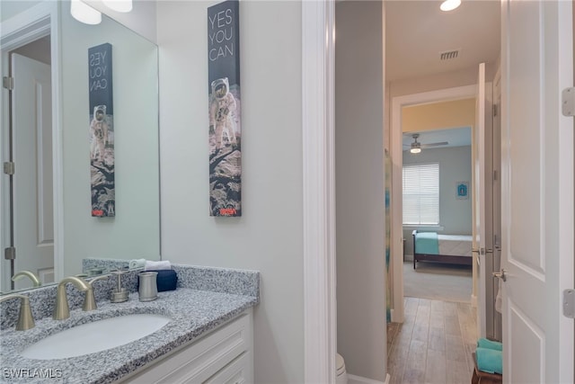 bathroom with hardwood / wood-style floors and vanity