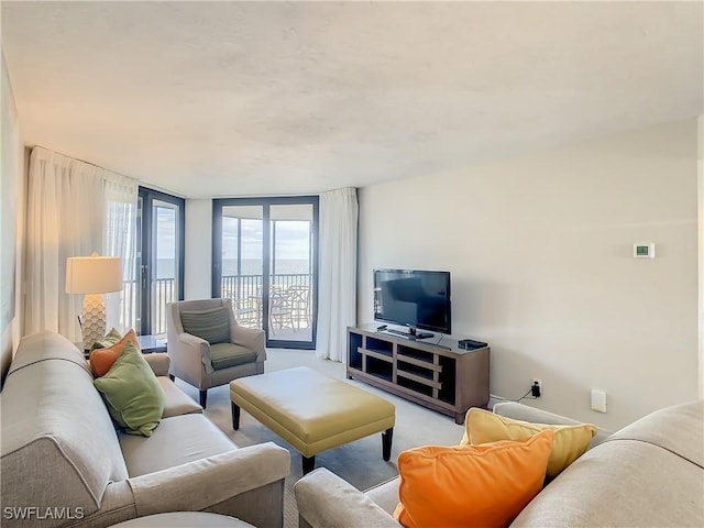 view of carpeted living room