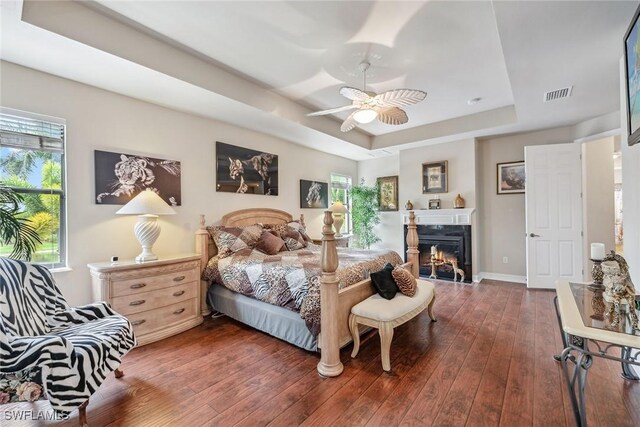 bedroom featuring multiple windows, ceiling fan, a tray ceiling, and dark hardwood / wood-style floors