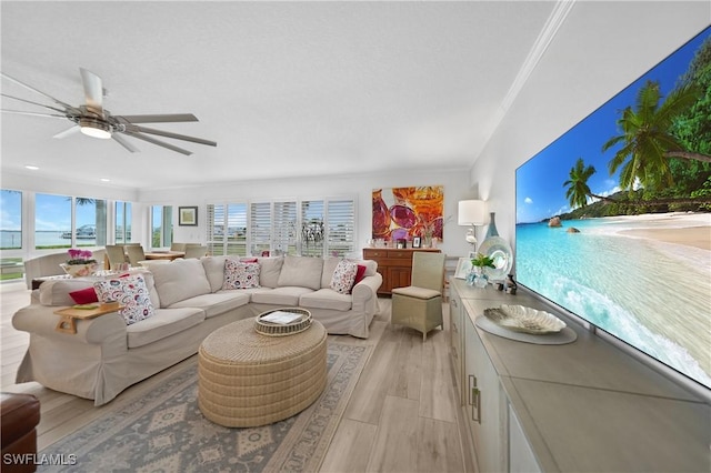 living room with light hardwood / wood-style floors, ceiling fan, and crown molding