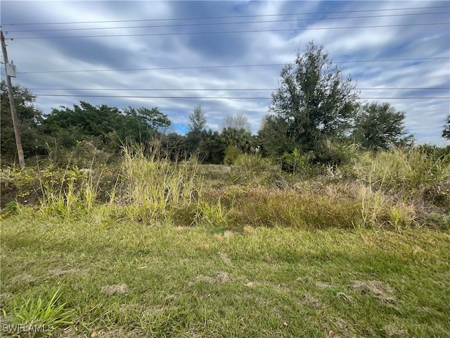 16341 Old Olga Rd, Alva FL, 33920 land for sale