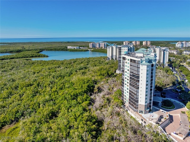 drone / aerial view featuring a water view