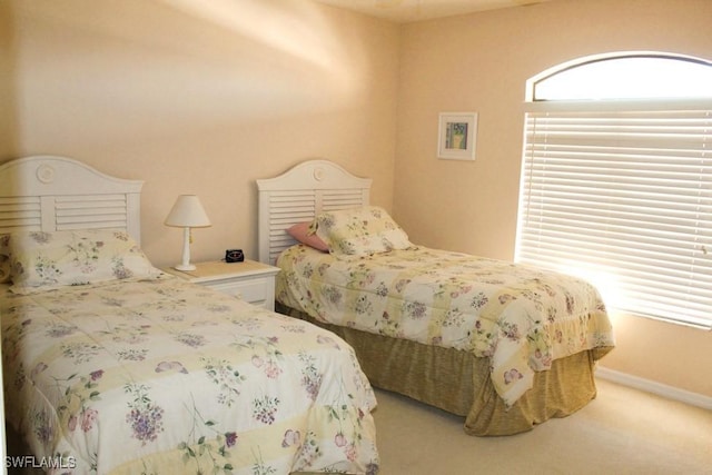 bedroom featuring carpet flooring