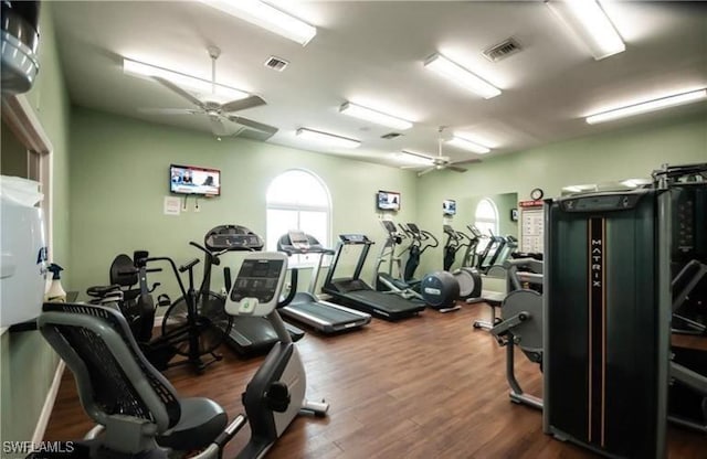 gym featuring ceiling fan and dark wood-type flooring