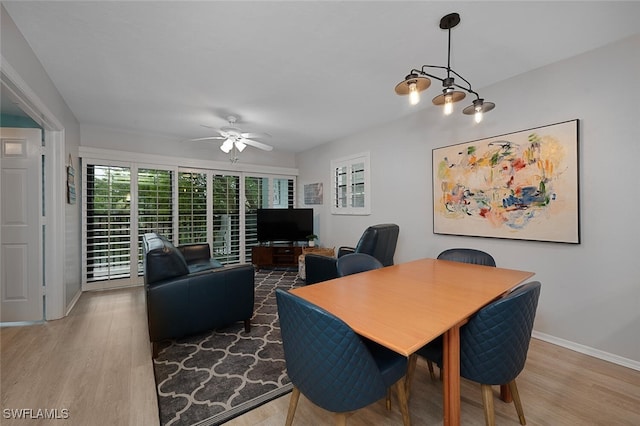 dining area with ceiling fan and hardwood / wood-style floors