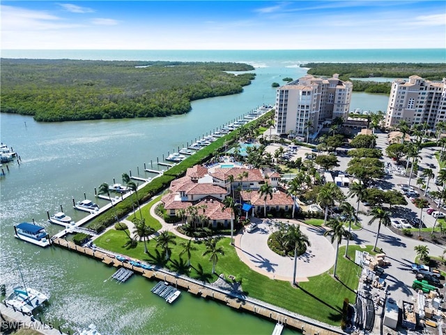 aerial view with a water view