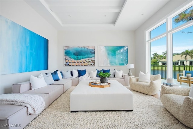 living area featuring a raised ceiling