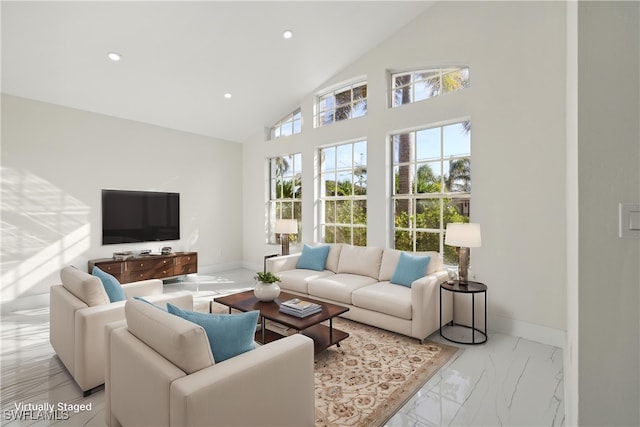 living room featuring high vaulted ceiling