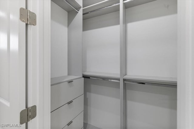 view of walk in closet