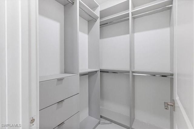 view of spacious closet