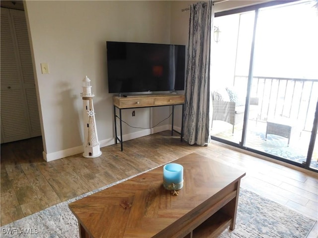 living room featuring hardwood / wood-style floors