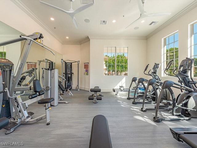 gym featuring crown molding, ceiling fan, and a healthy amount of sunlight