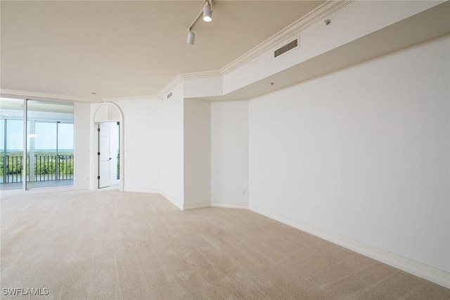 carpeted spare room featuring rail lighting and ornamental molding