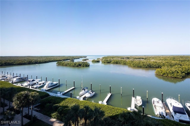 dock area with a water view