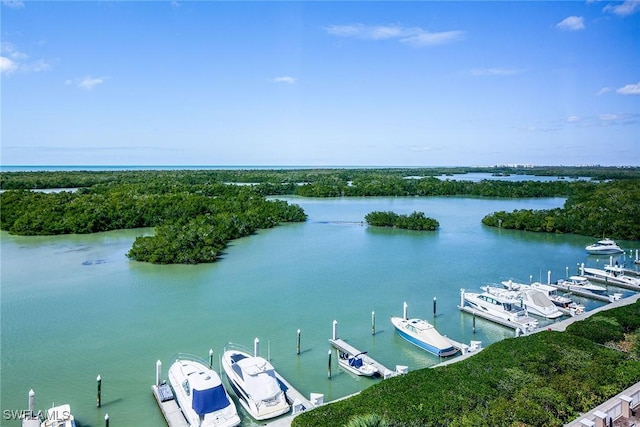 view of water feature featuring a boat dock