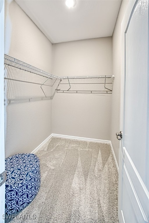 spacious closet featuring carpet floors