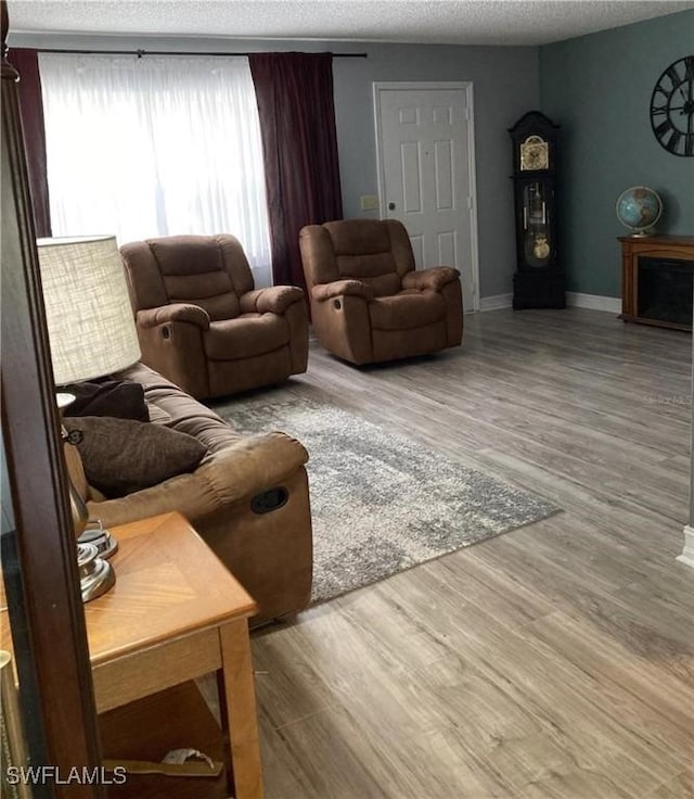 living room featuring hardwood / wood-style flooring and a textured ceiling