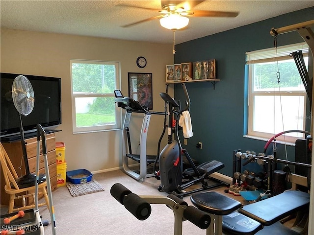 workout area with ceiling fan, carpet floors, and a textured ceiling