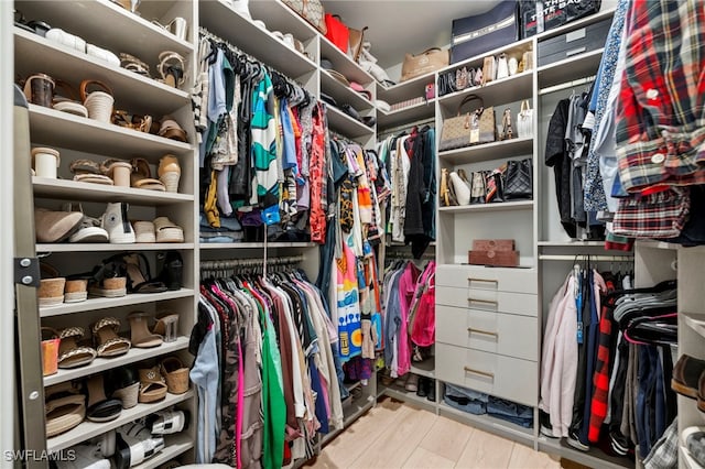 spacious closet featuring light wood-style flooring