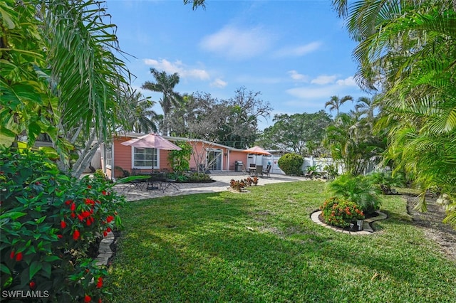 view of yard featuring a patio