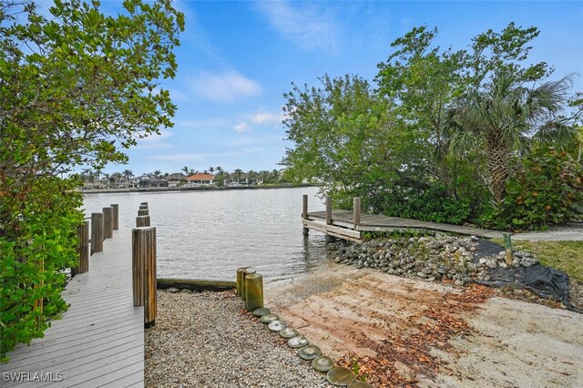 dock area with a water view