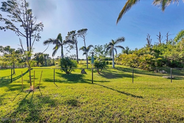 view of home's community featuring a yard