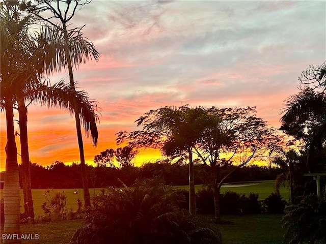 view of nature at dusk