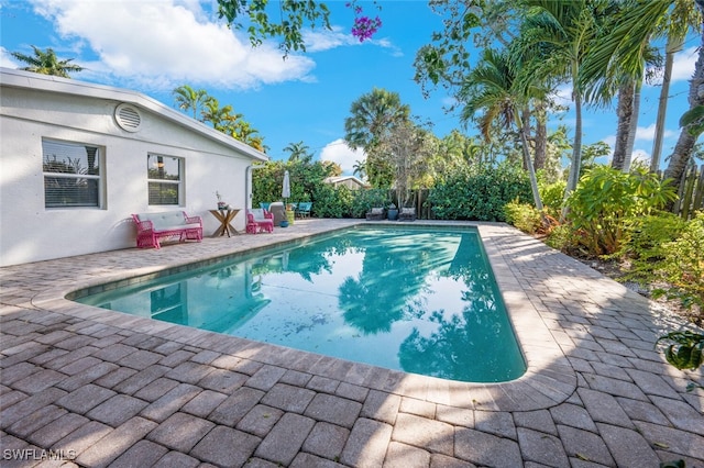 view of swimming pool with a patio