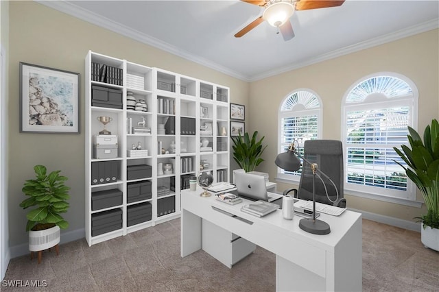 carpeted home office with ceiling fan and crown molding