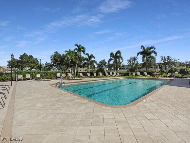 view of swimming pool with a patio area