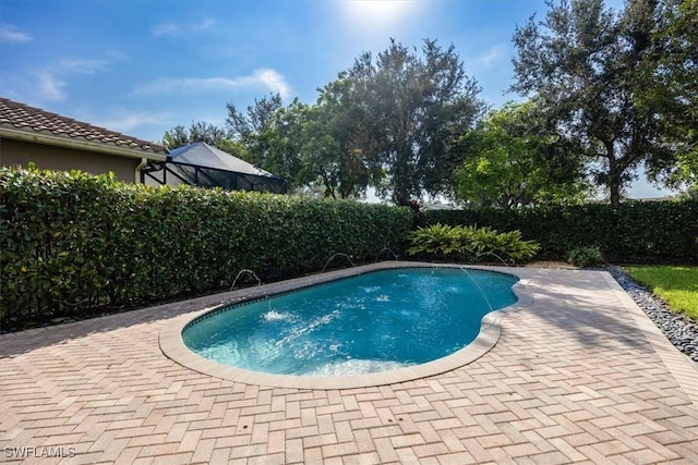 view of pool featuring a patio and pool water feature