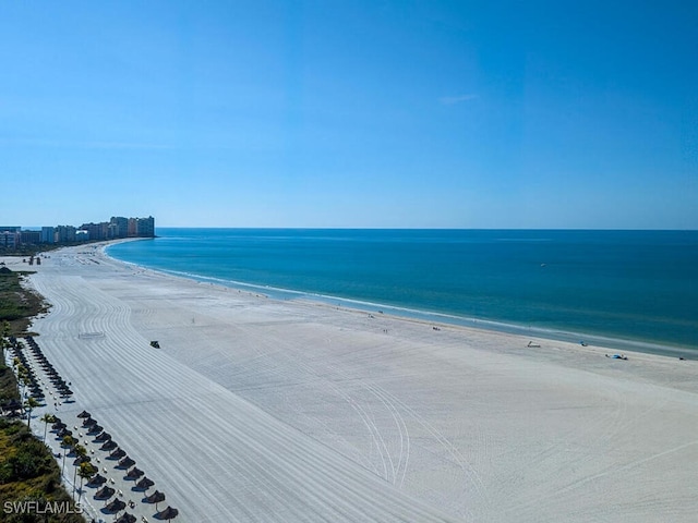 property view of water featuring a beach view