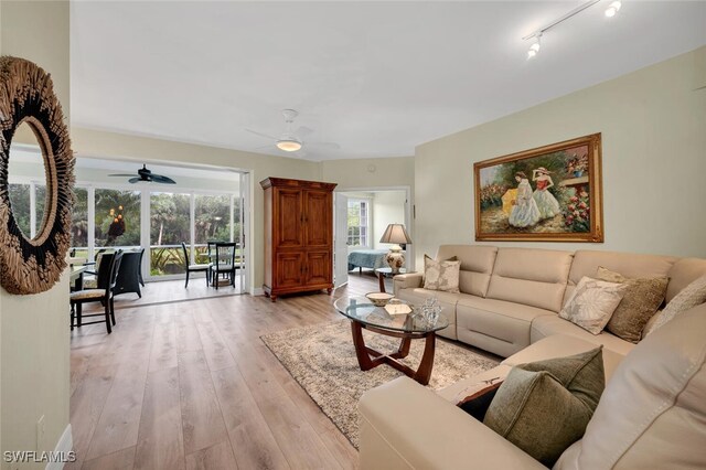 living room featuring track lighting, ceiling fan, and light hardwood / wood-style flooring