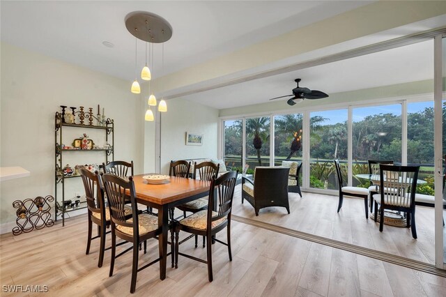 dining room with ceiling fan and light wood-type flooring