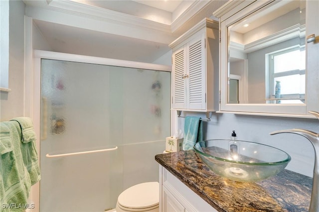 bathroom featuring an enclosed shower, vanity, and toilet