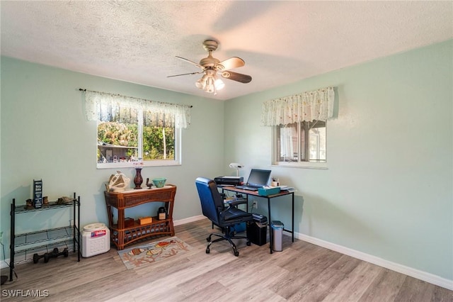 office with ceiling fan, light hardwood / wood-style flooring, and a textured ceiling