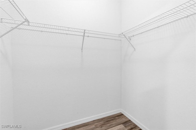 walk in closet with wood-type flooring