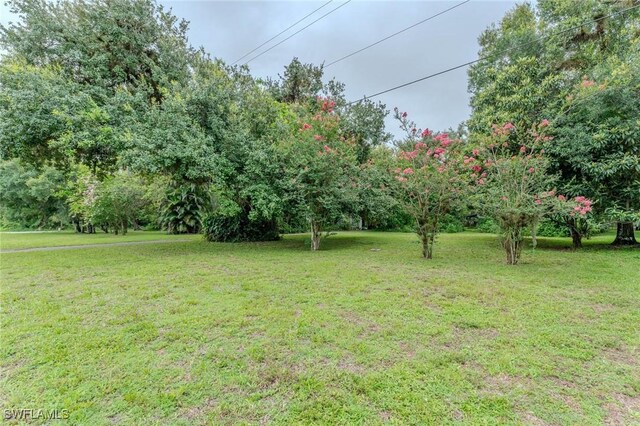 351 E Hickpochee Ave, Labelle, FL 33935